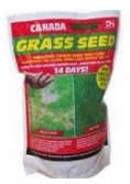 grass seed