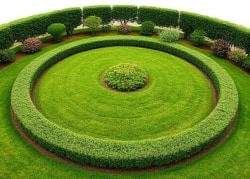 Circular Garden