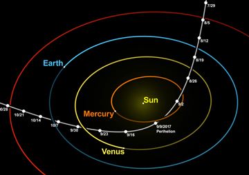 oumuamua orbit