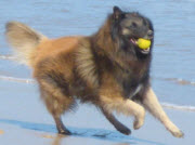 ariel running with ball