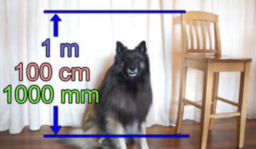 Metric Length