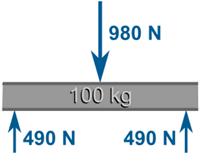 beam 100kg forces: 980N balances 2 of 490 N