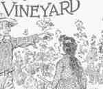 Marther's Vineyard